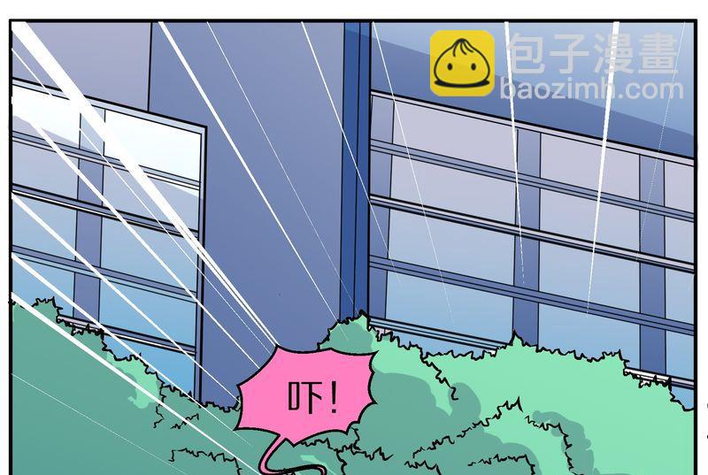 毛球星传说  第110集(1/3)-第110话