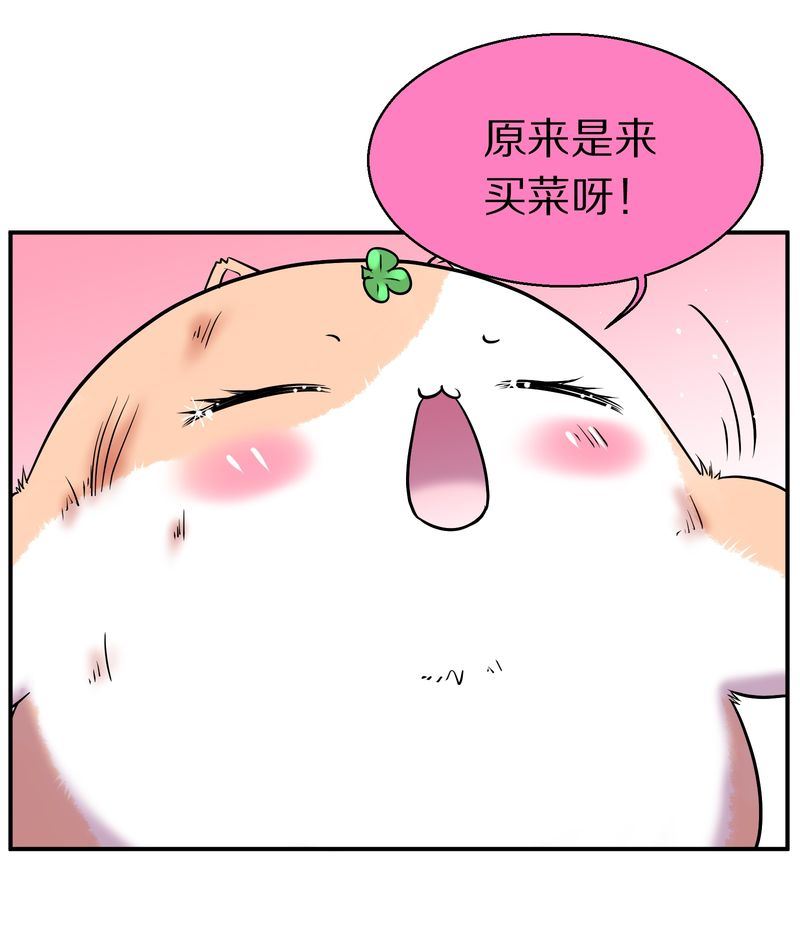 毛球星传说  第110集(1/3)-第110话