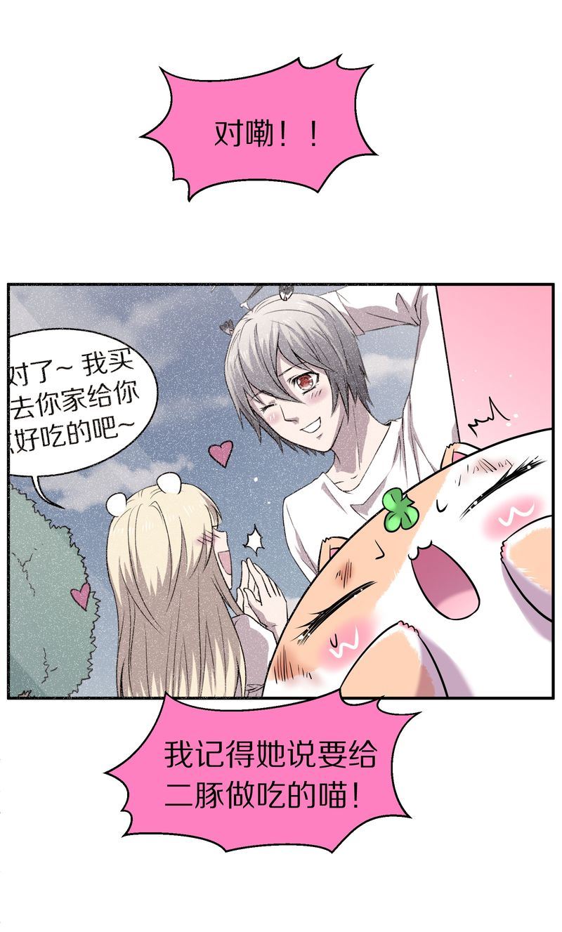 毛球星传说  第110集(1/3)-第110话