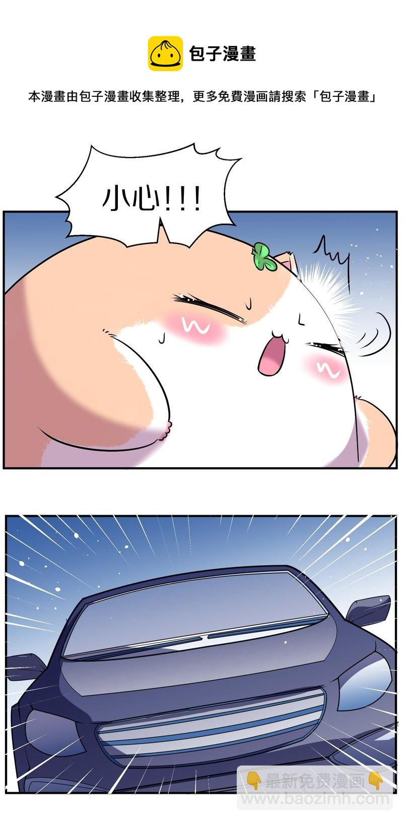 毛球星传说  第110集(1/3)-第110话