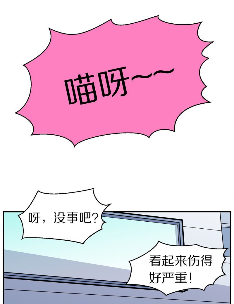 毛球星传说  第110集(1/3)-第110话