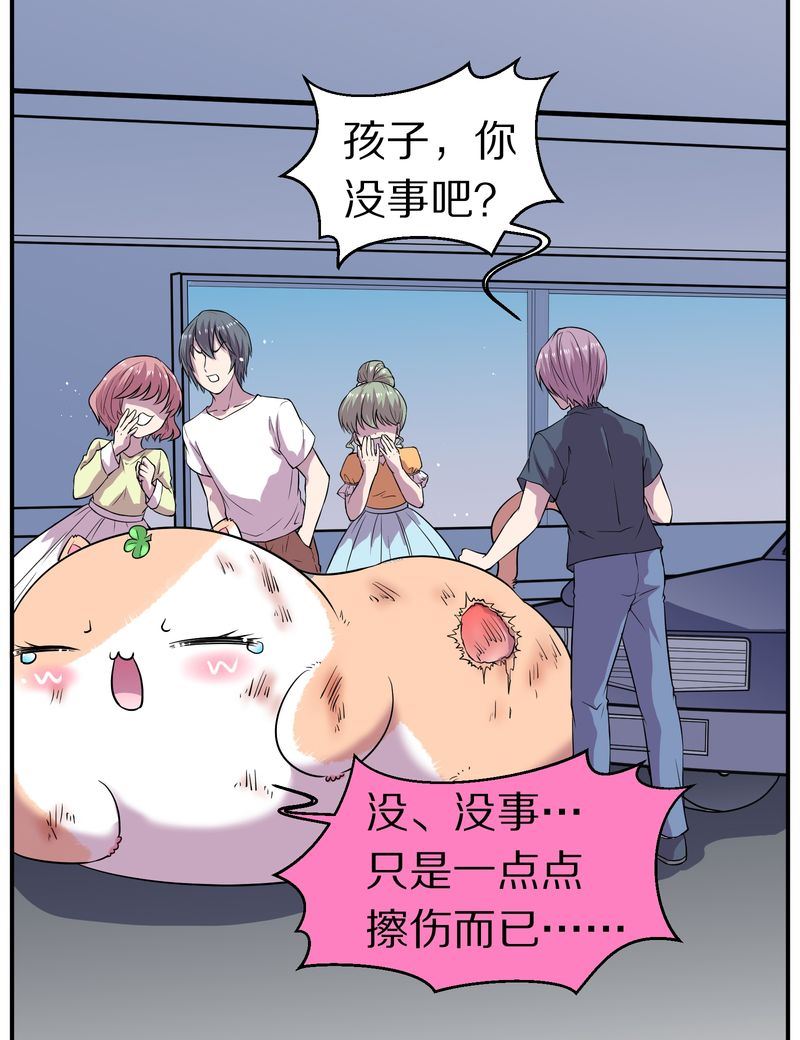 毛球星传说  第110集(1/3)-第110话