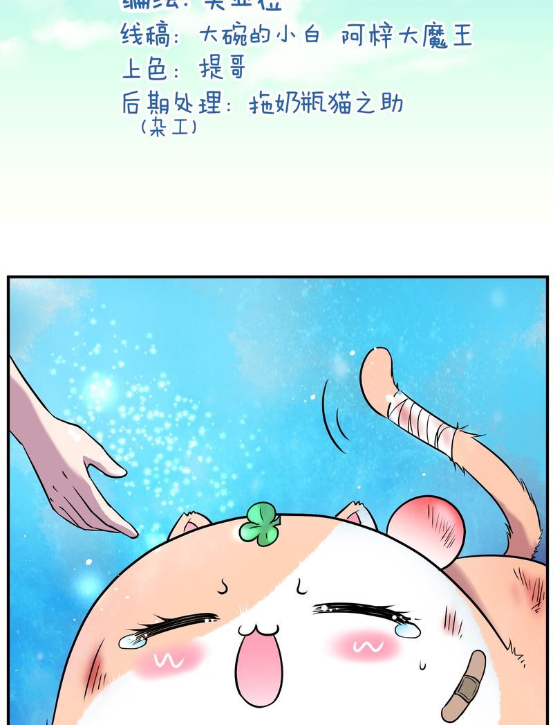 毛球星传说  第110集(1/3)-第110话