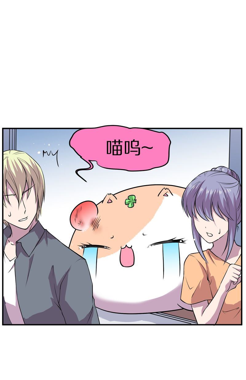 毛球星传说  第110集(1/3)-第110话