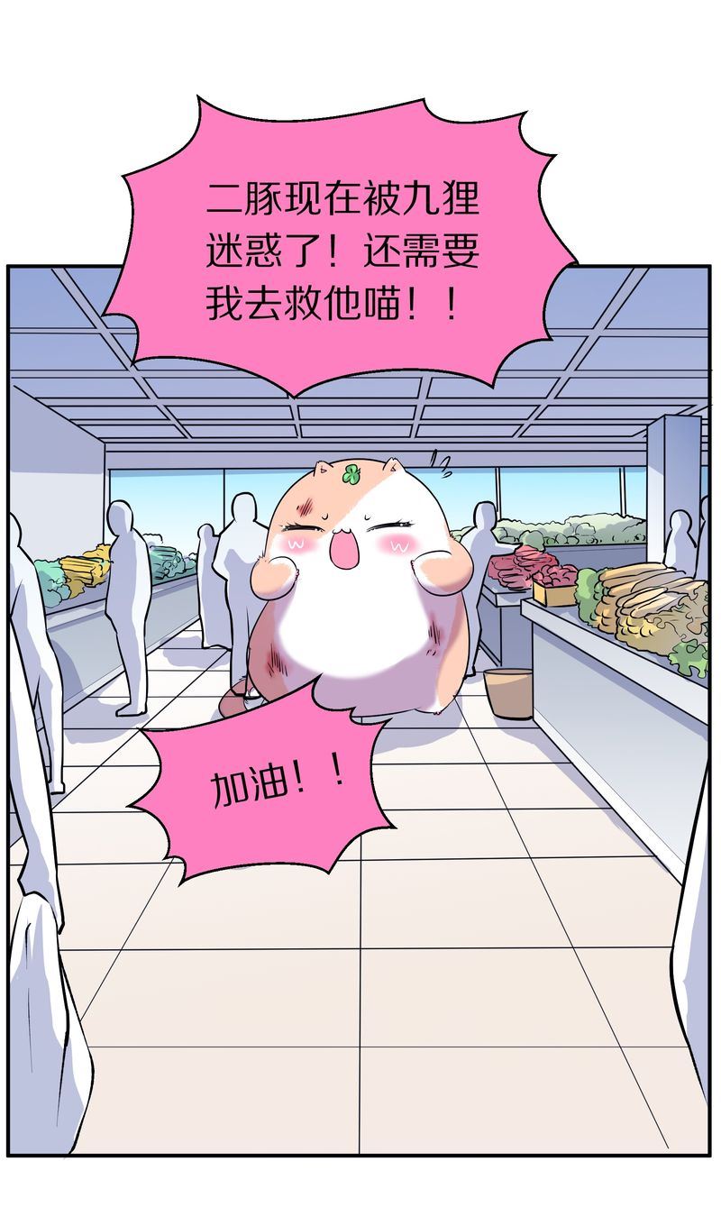 毛球星传说  第110集(1/3)-第110话