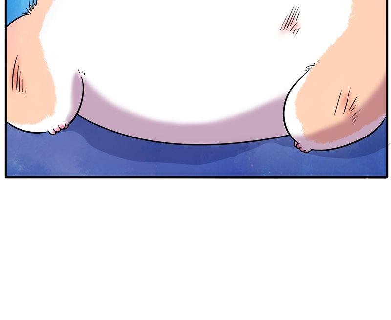 毛球星传说  第110集(1/3)-第110话