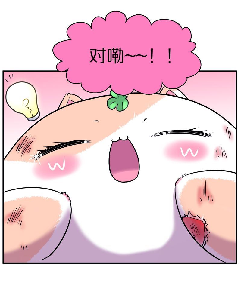 毛球星传说  第110集(1/3)-第110话