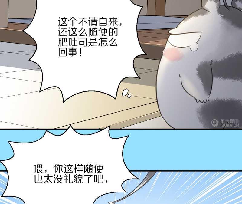 毛球星傳說 - 毛球星傳說 第12集 - 8