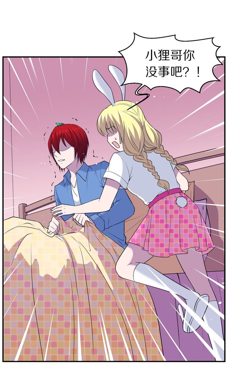 毛球星传说  第112集(1/3)-第112话