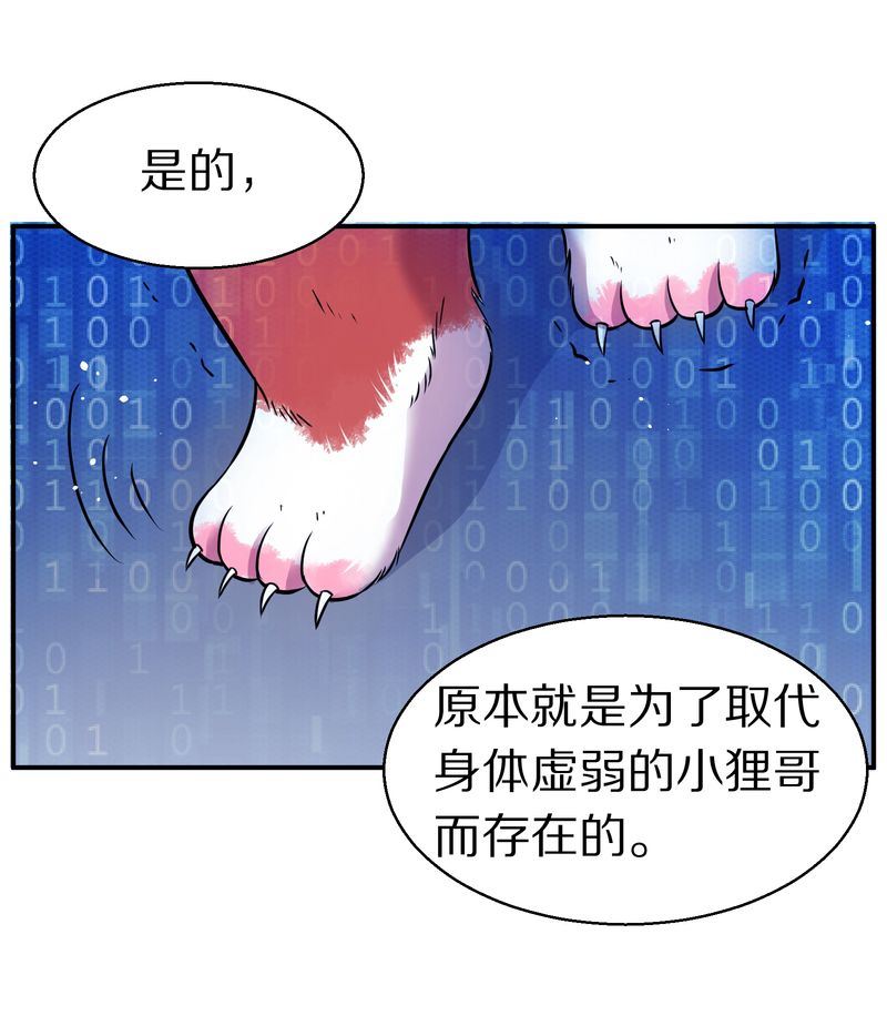 毛球星传说  第112集(1/3)-第112话