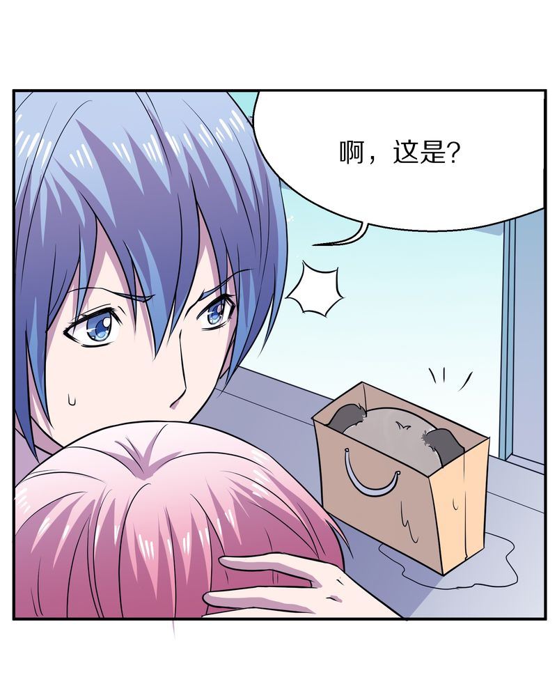 毛球星传说  第116集(1/5)-第116话