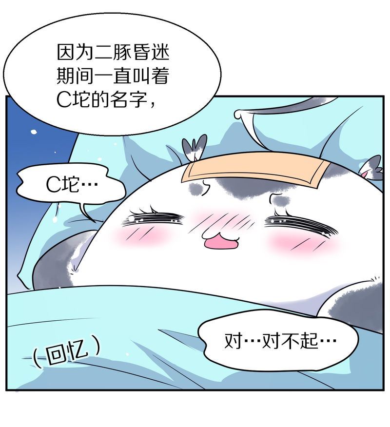 毛球星传说  第116集(1/5)-第116话