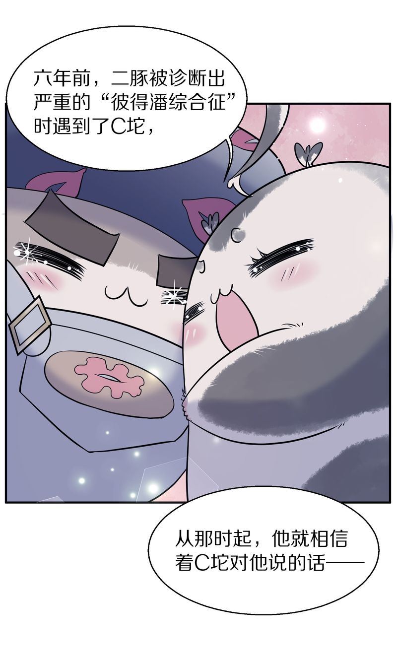 毛球星传说  第116集(1/5)-第116话