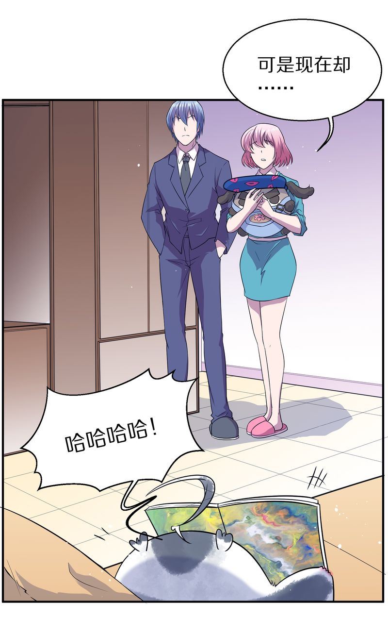 毛球星传说  第116集(1/5)-第116话