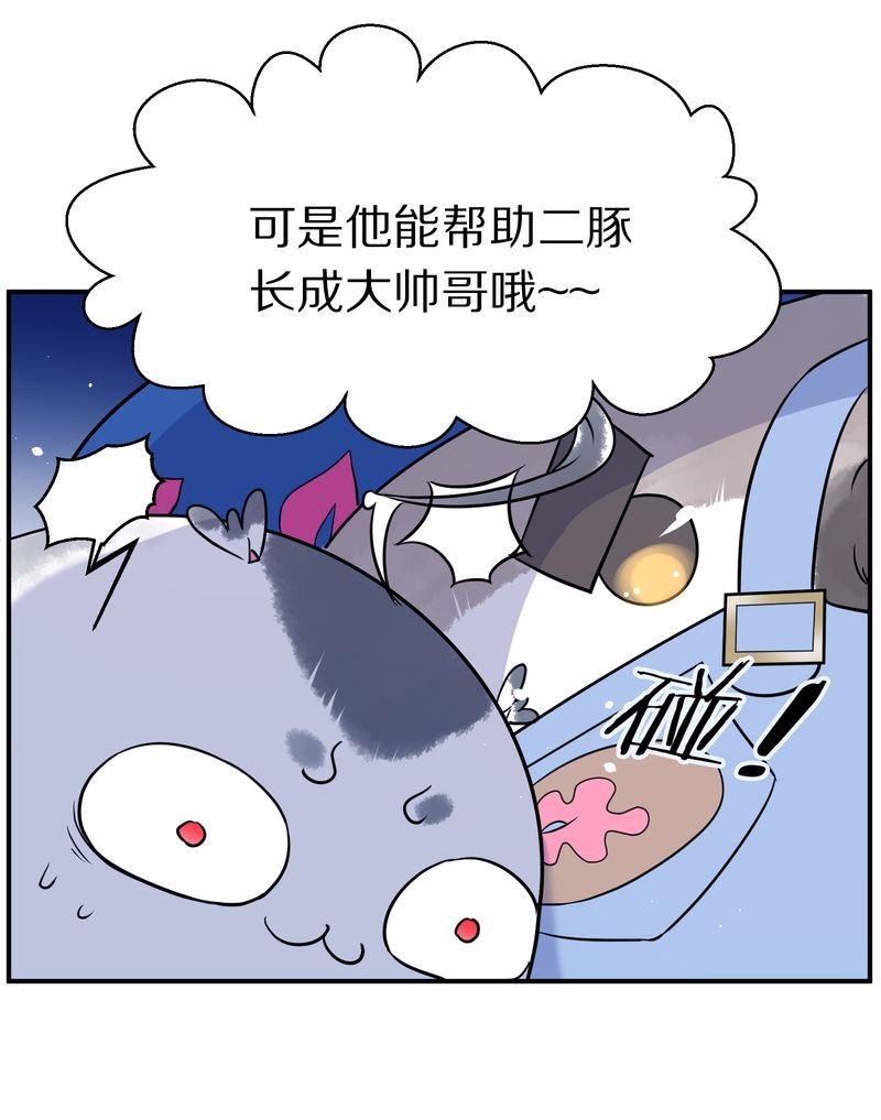 毛球星传说  第116集(1/5)-第116话