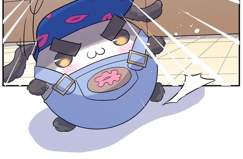 毛球星传说  第116集(1/5)-第116话