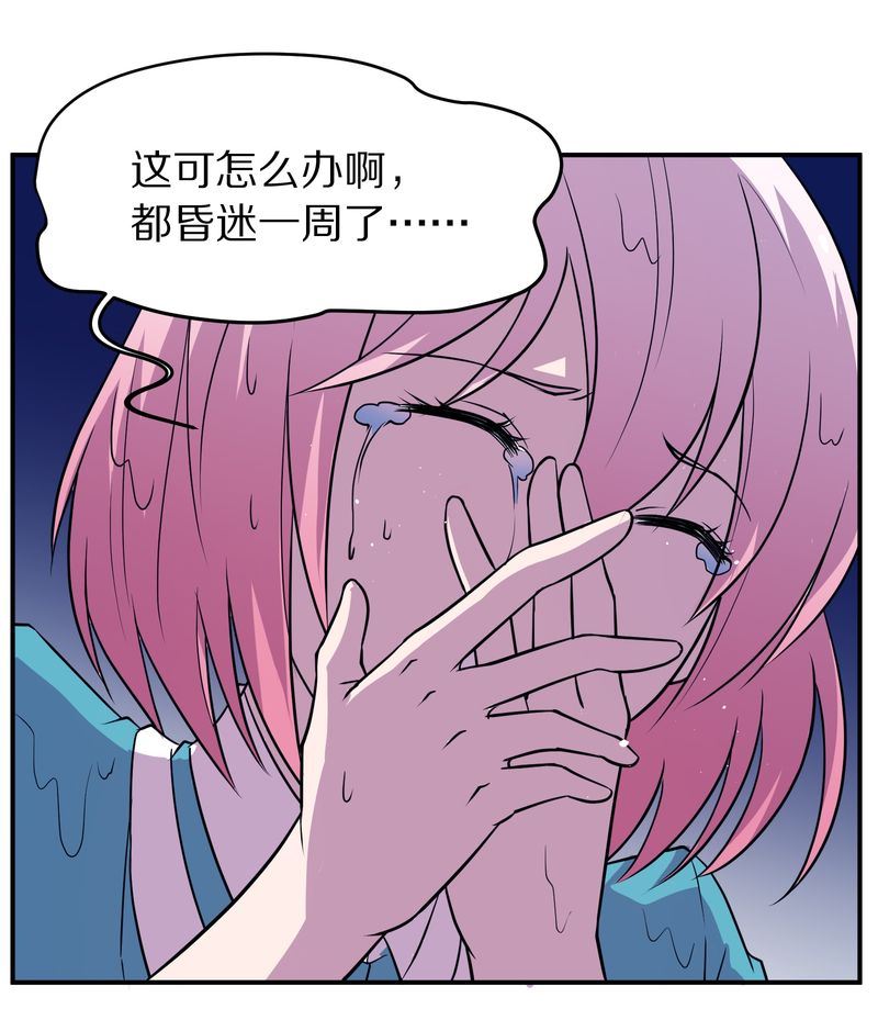 毛球星传说  第116集(1/5)-第116话