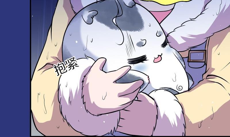 毛球星传说  第118集(1/5)-第118话