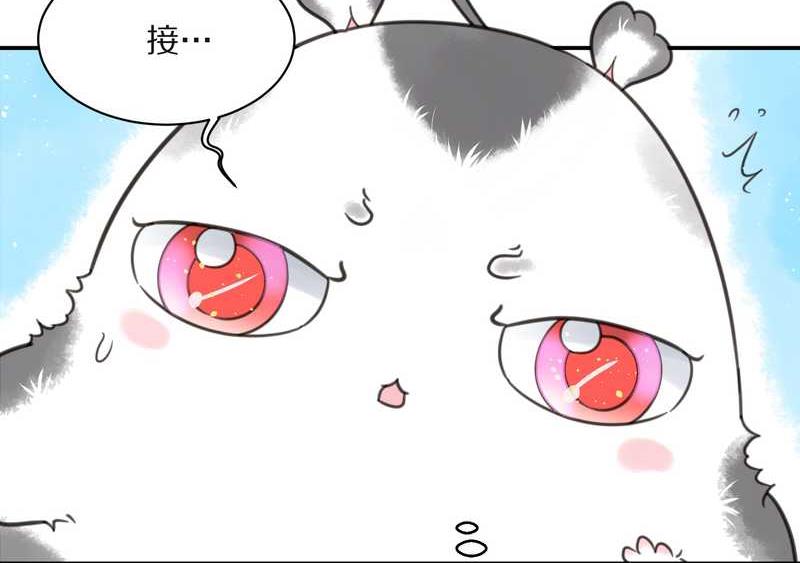 毛球星传说 第16集(1/2)-第16话