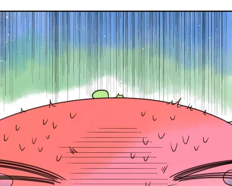 毛球星传说 第16集(1/2)-第16话