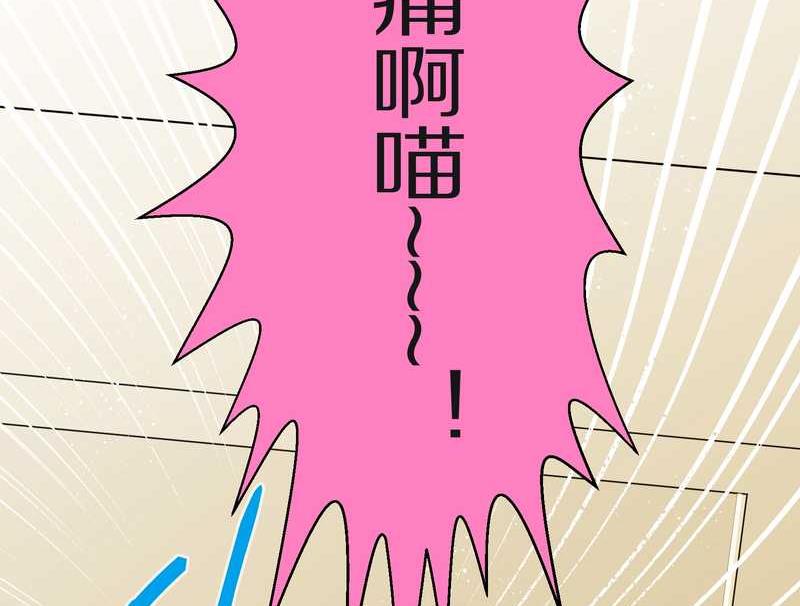 毛球星传说 第16集(1/2)-第16话