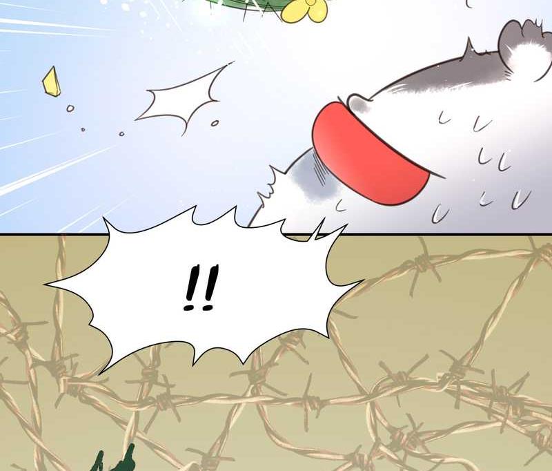 毛球星传说 第16集(1/2)-第16话