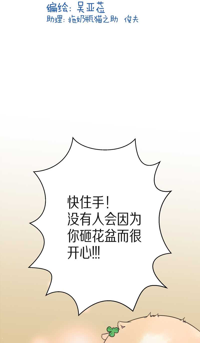 毛球星传说 第16集(1/2)-第16话