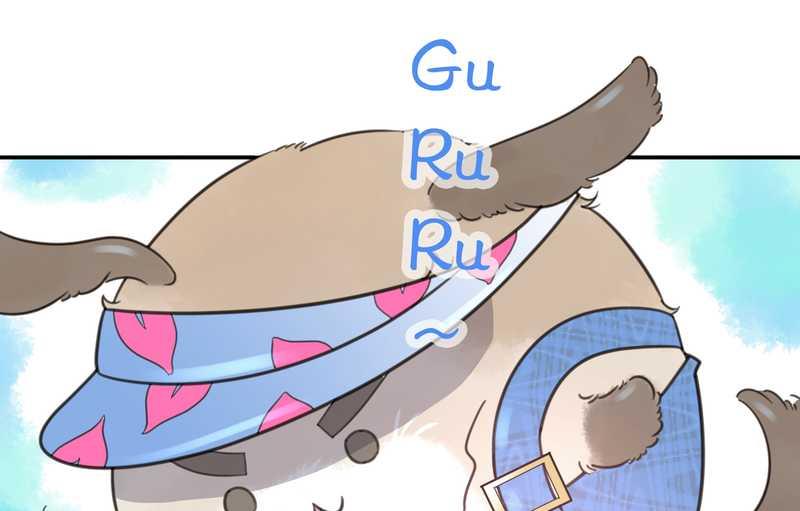 毛球星传说 第16集(1/2)-第16话