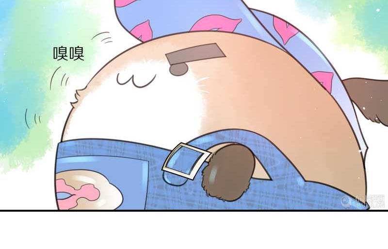 毛球星传说 第16集(1/2)-第16话