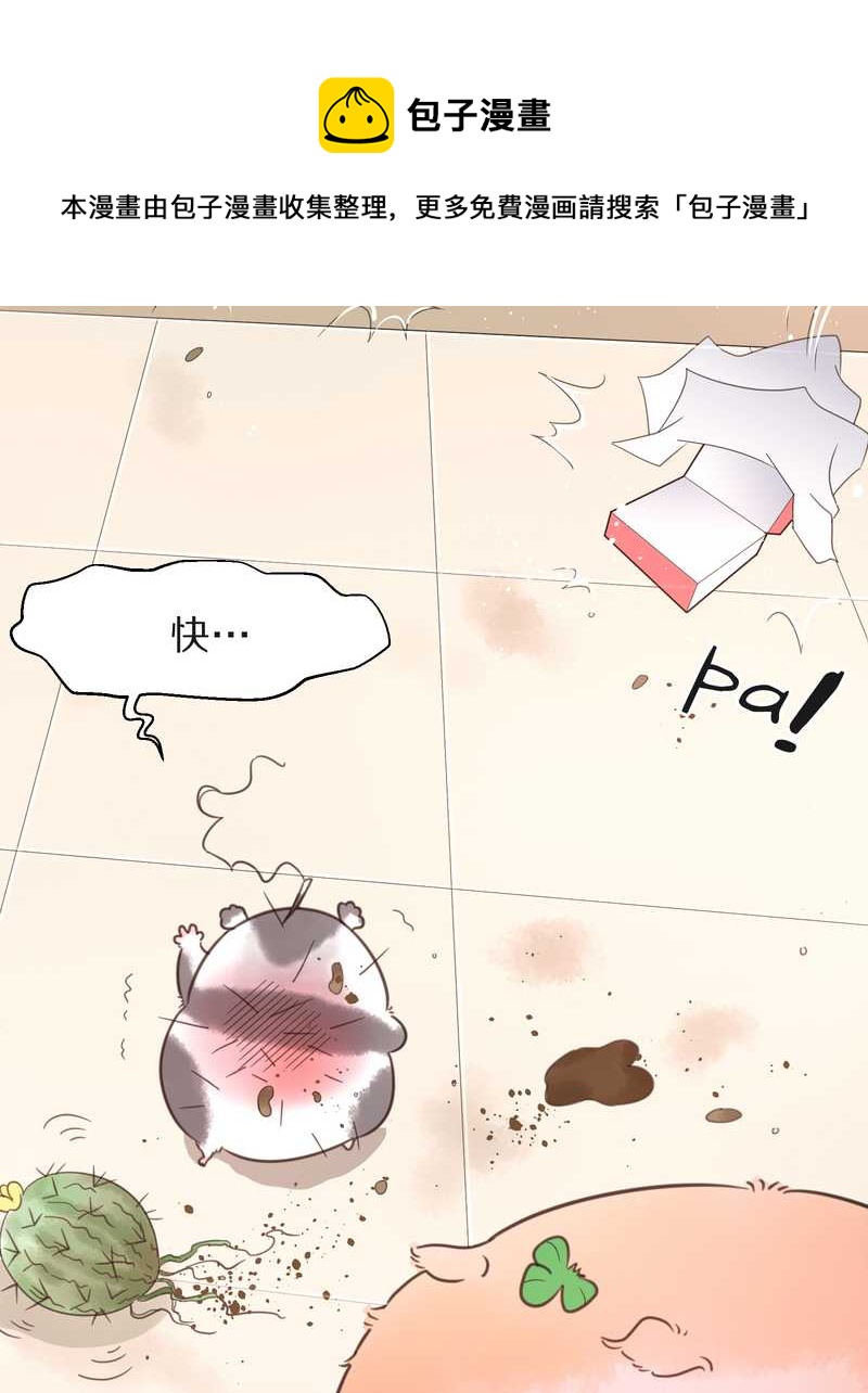 毛球星传说 第16集(1/2)-第16话