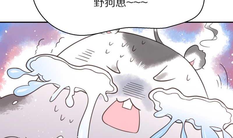 毛球星传说 第16集(1/2)-第16话