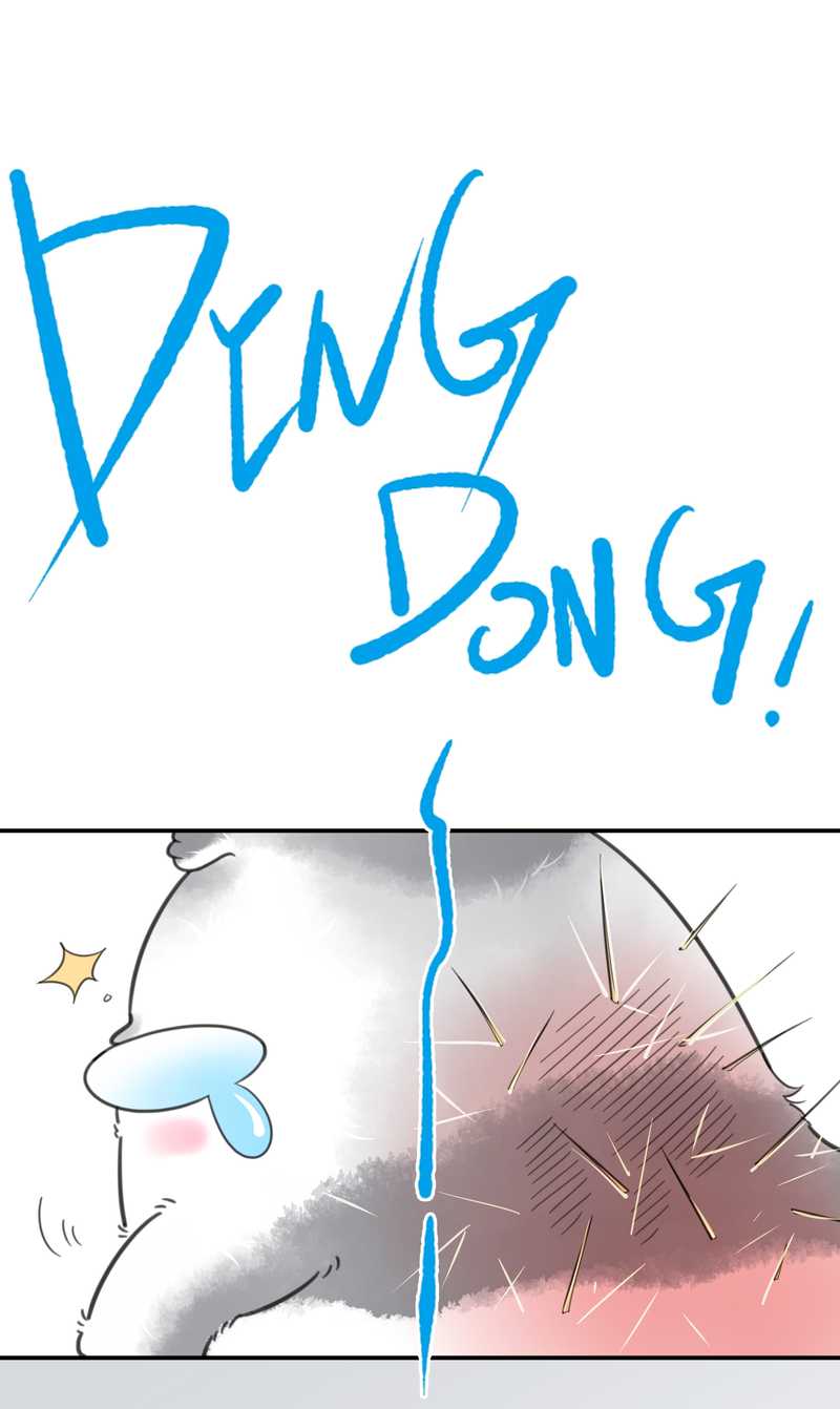 毛球星传说 第16集(1/2)-第16话