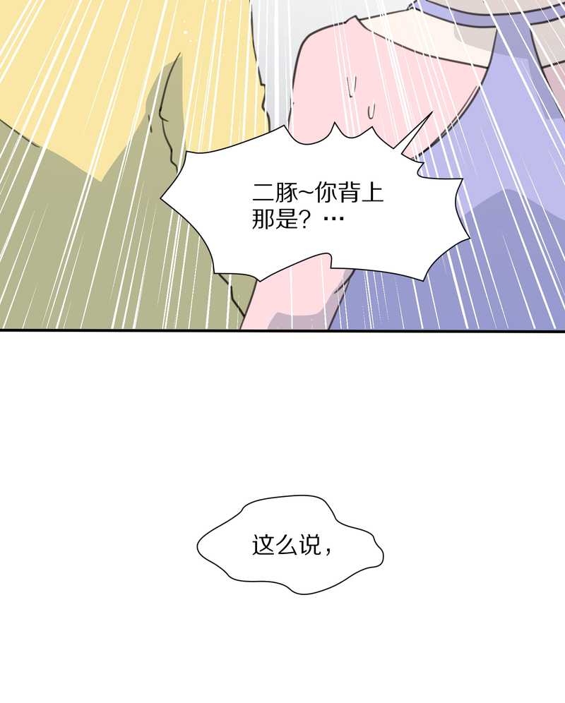 毛球星传说 第16集(1/2)-第16话