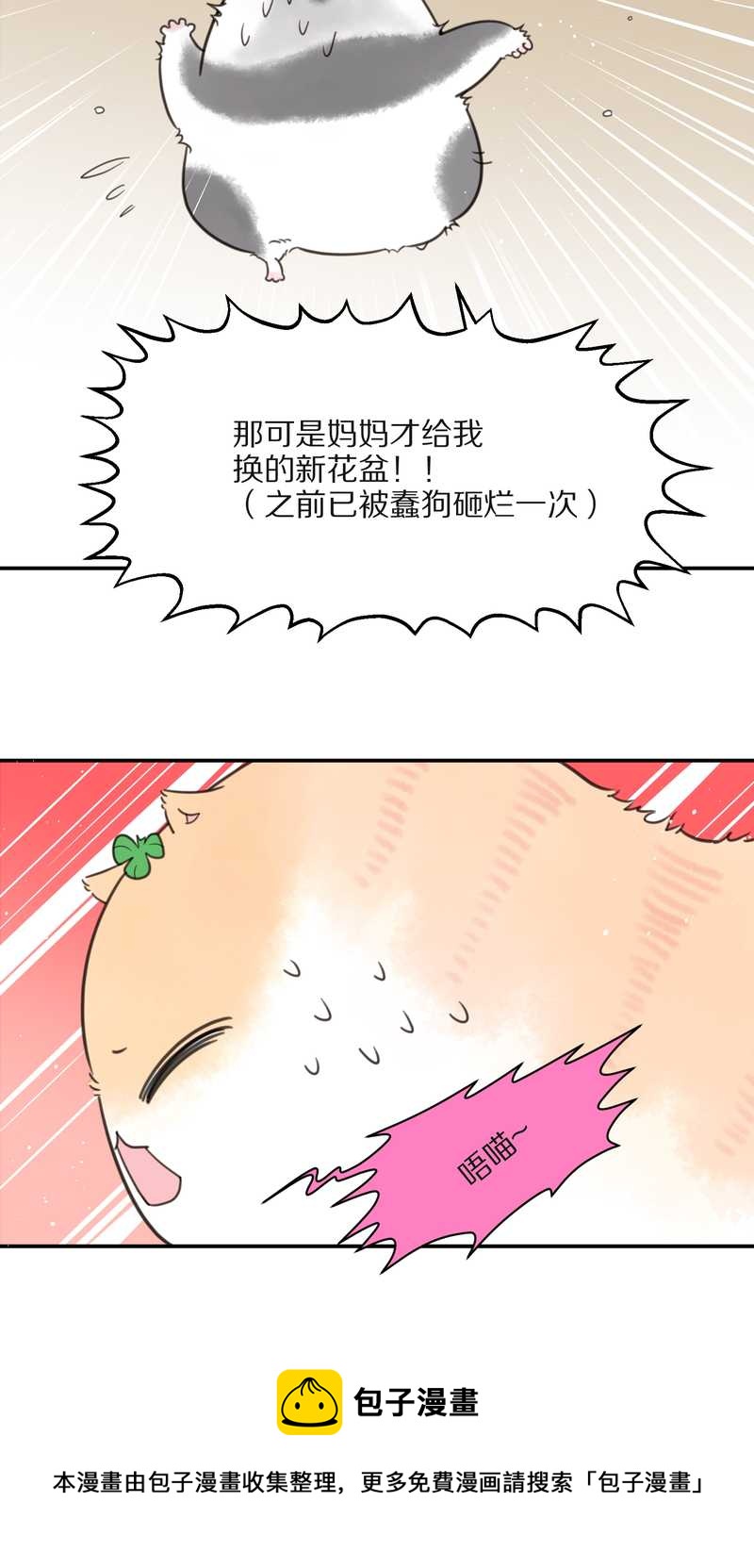 毛球星传说 第16集(1/2)-第16话