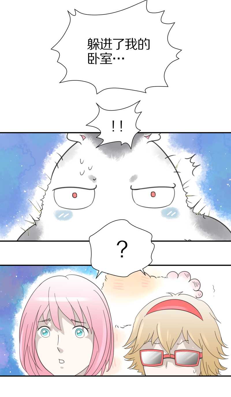 毛球星传说 第16集(1/2)-第16话