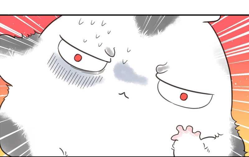 毛球星传说 第16集(1/2)-第16话