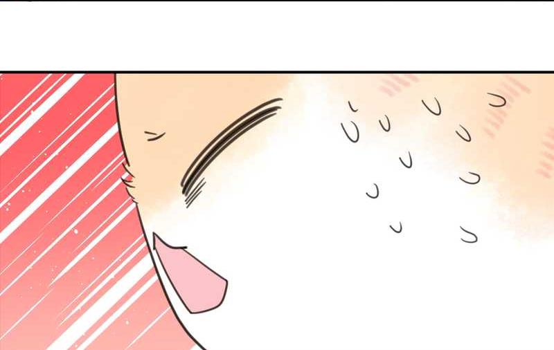 毛球星传说 第16集(1/2)-第16话