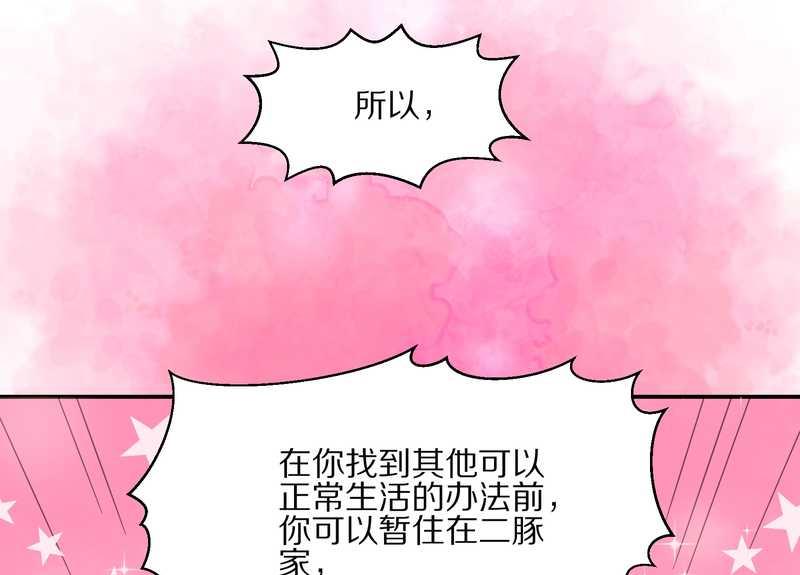 毛球星传说 第18集(1/2)-第18话