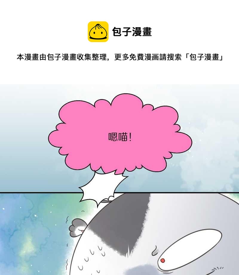 毛球星传说 第18集(1/2)-第18话