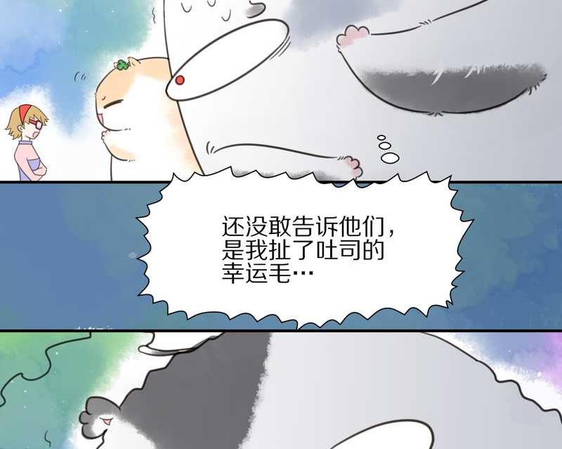 毛球星传说 第18集(1/2)-第18话