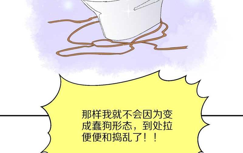 毛球星传说 第18集(1/2)-第18话