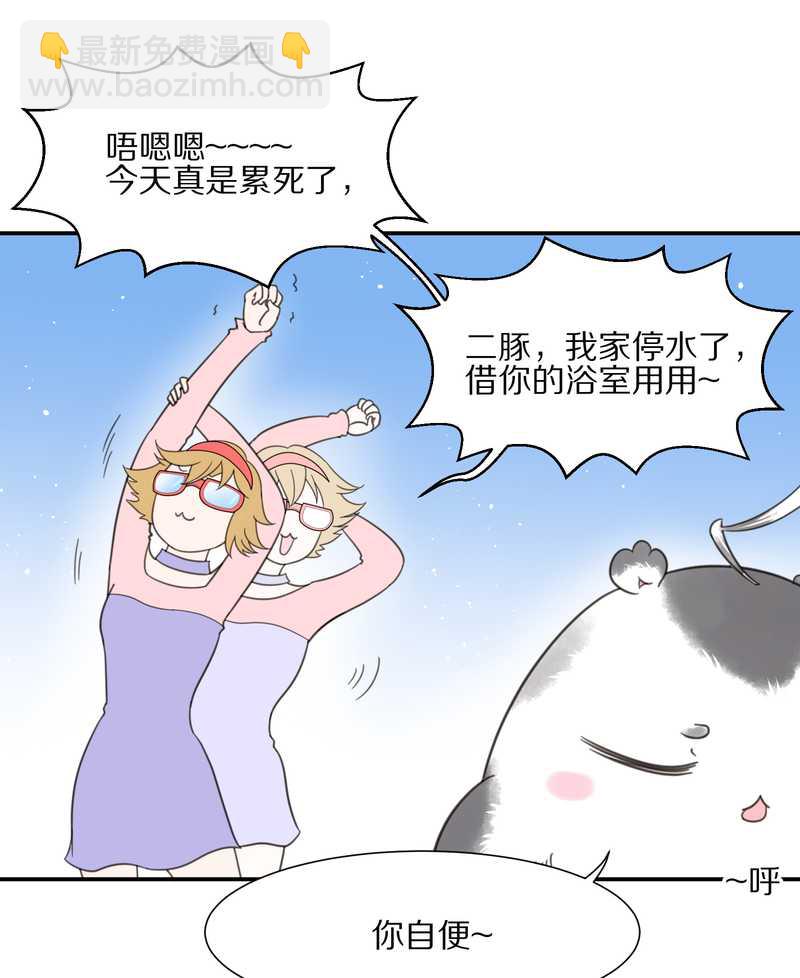 毛球星传说 第18集(1/2)-第18话