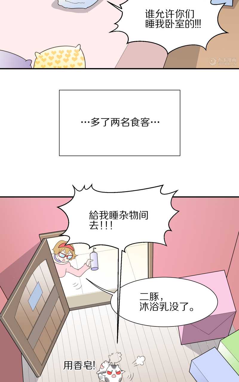 毛球星传说 第18集(1/2)-第18话