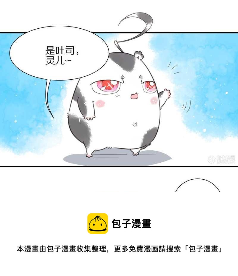 毛球星传说 第18集(1/2)-第18话