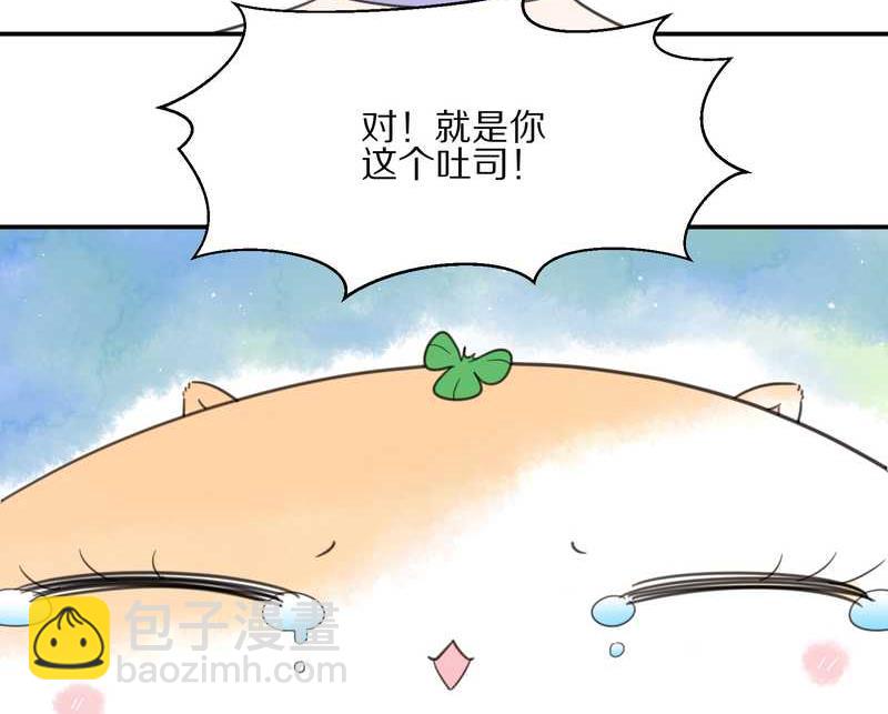 毛球星传说 第18集(1/2)-第18话