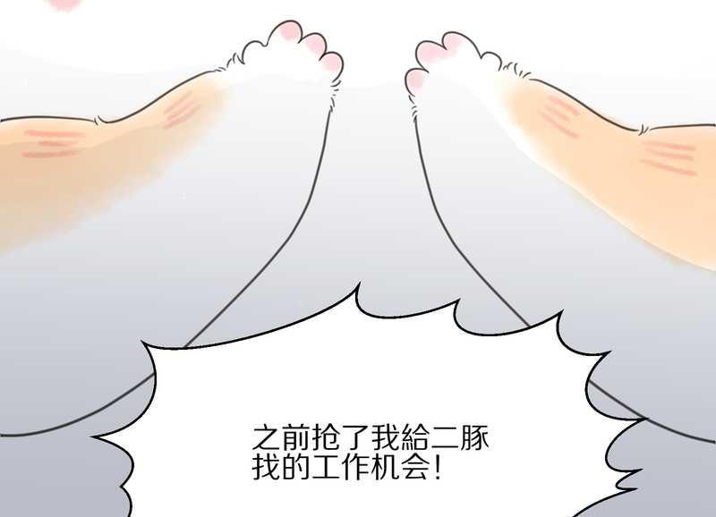 毛球星传说 第18集(1/2)-第18话