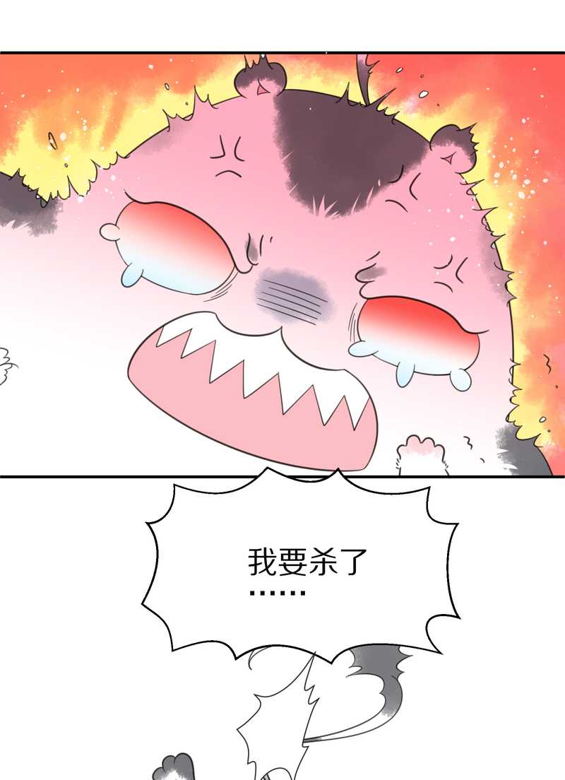 毛球星传说 第20集(1/2)-第20话