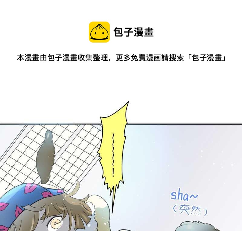 毛球星传说 第20集(1/2)-第20话