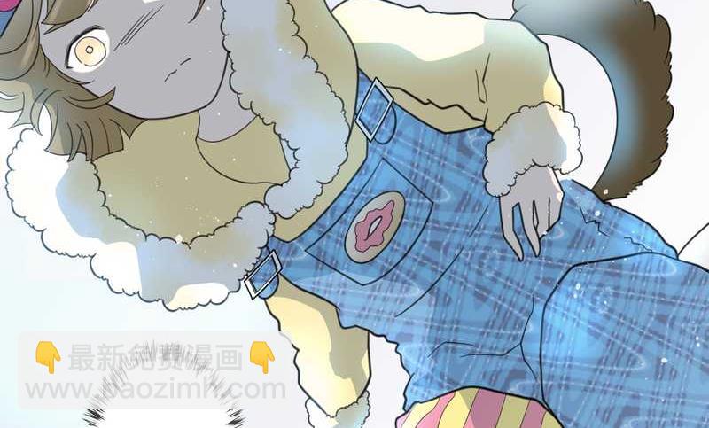 毛球星传说 第20集(1/2)-第20话