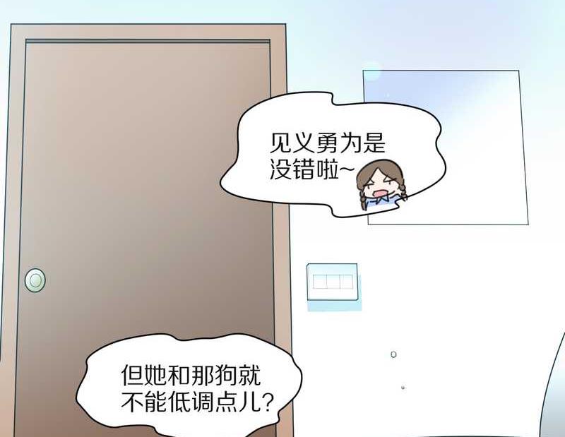 毛球星传说 第20集(1/2)-第20话